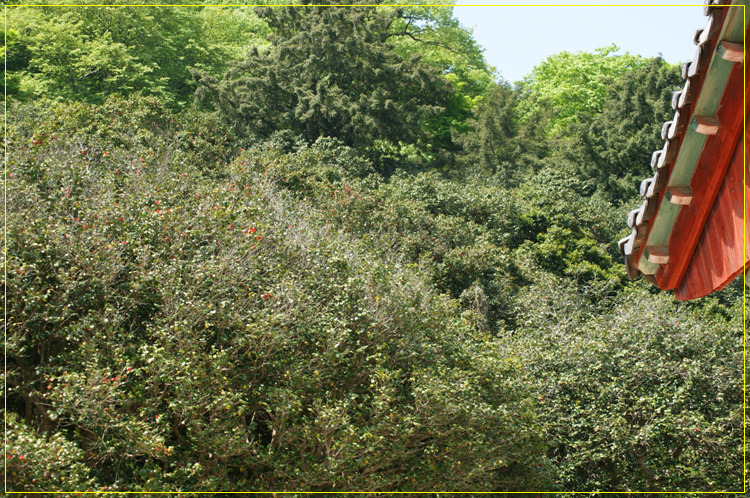 어린왕자의들꽃사랑마을은하별