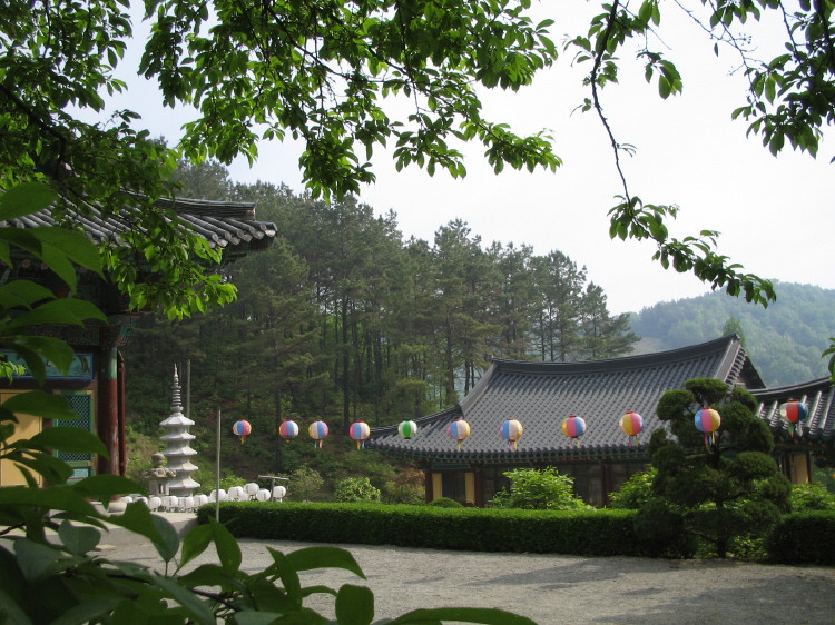 학림사 이미지