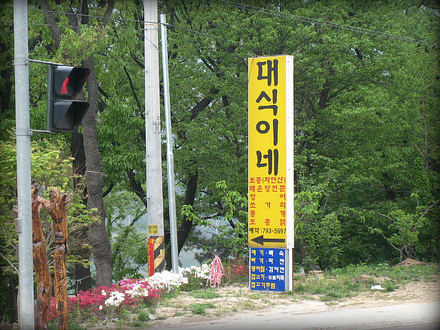 대식이네 이미지
