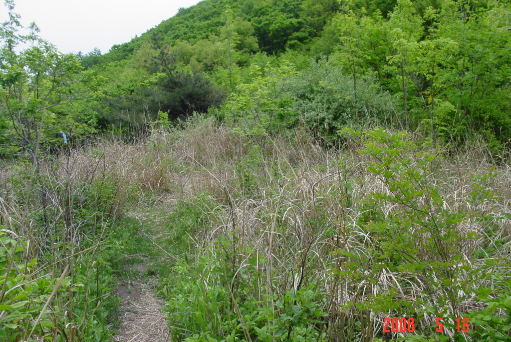 보현, 면봉산 이미지