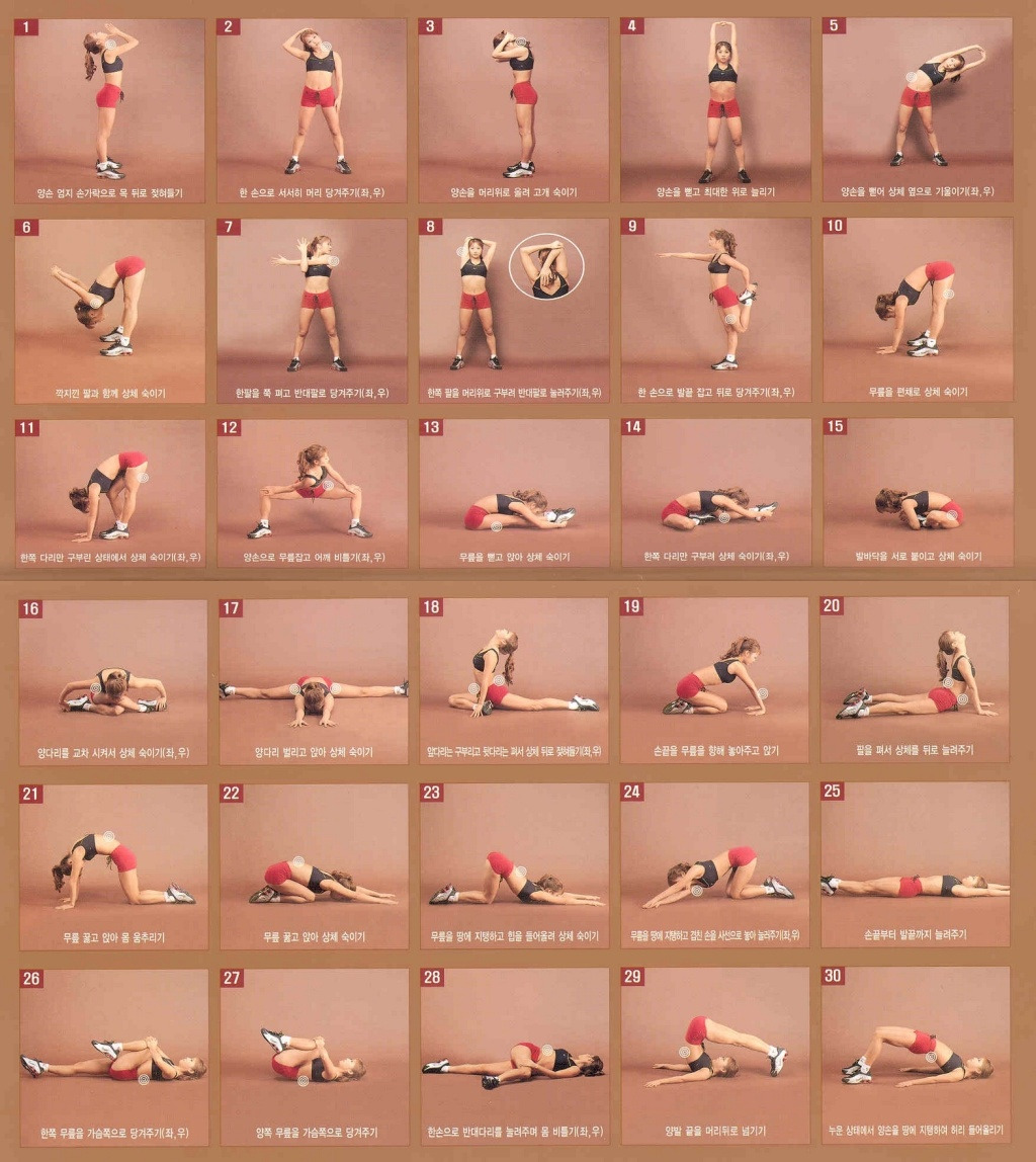 웰빙스트레칭 이미지