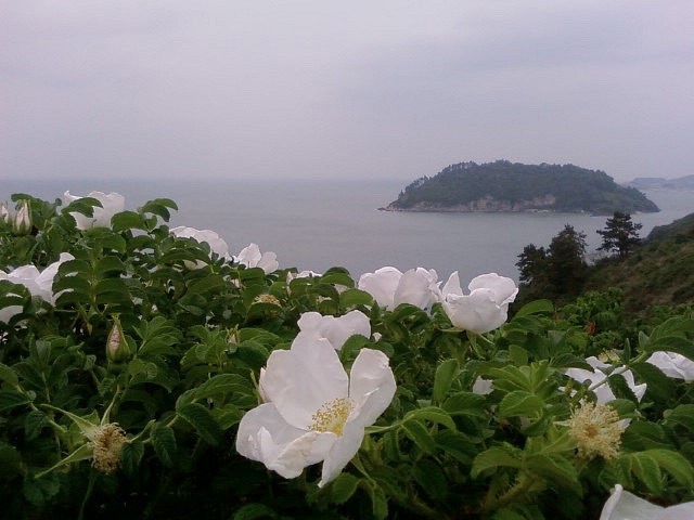 À̹ÌÁö¸¦ Ŭ¸¯ÇÏ¸é ¿øº»À» º¸½Ç ¼ö ÀÖ½À´Ï´Ù.