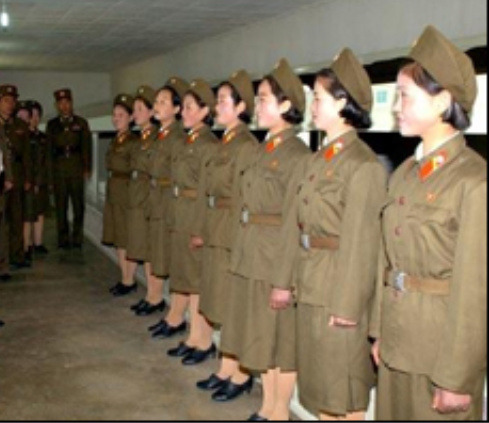 달삼 이미지